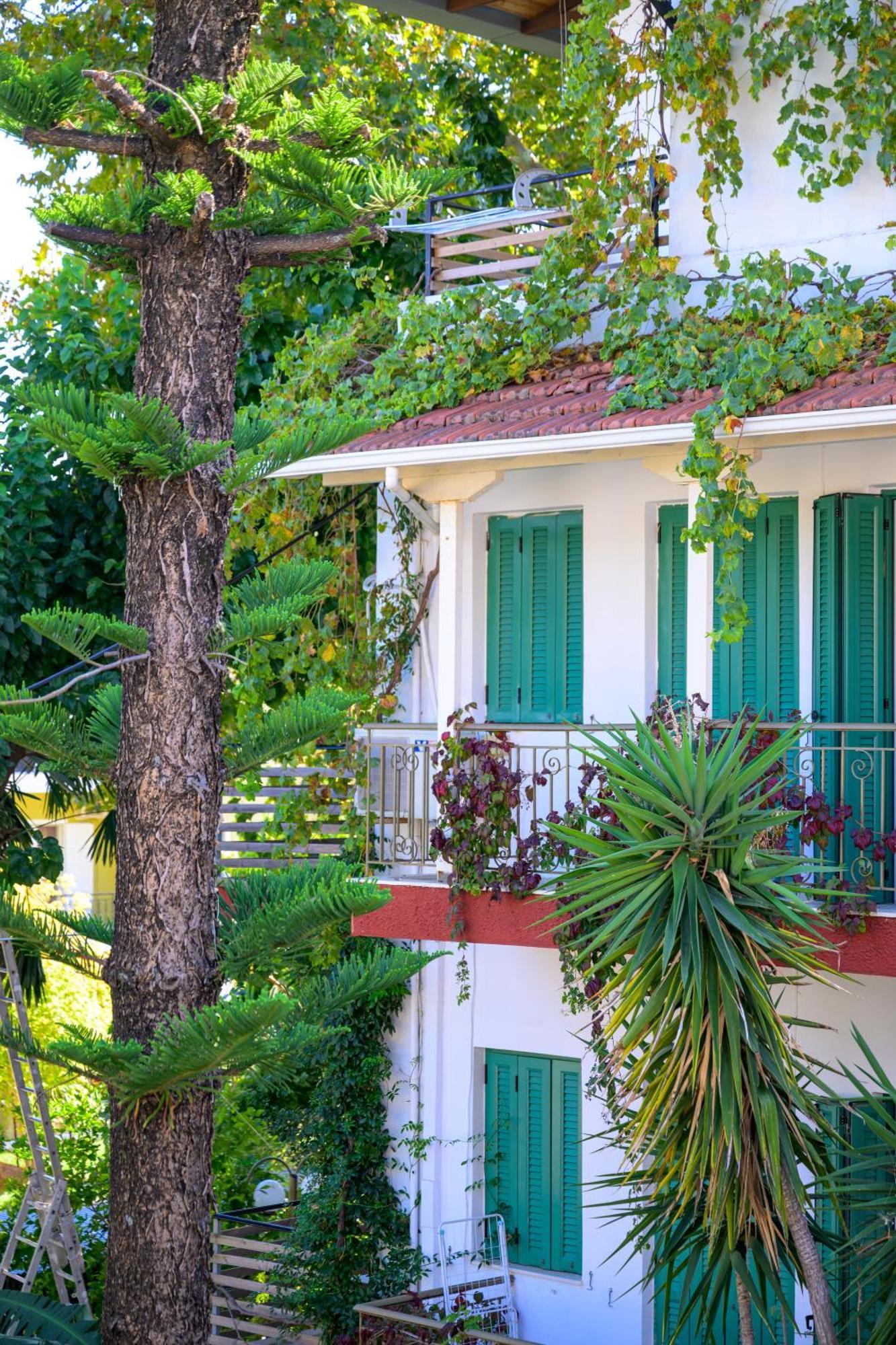 Ionian Paradise Nydri  Exterior foto